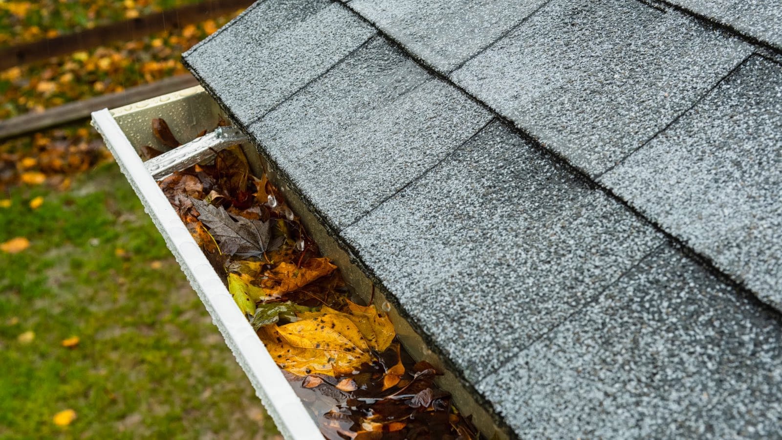 gutters filled with leaves