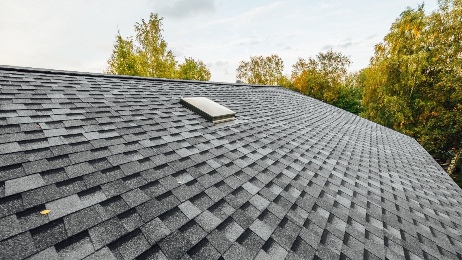 Close-up of homeowner's roof